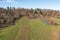 Vineyards and forest in the Rheingau from above in spring