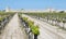 Vineyards with fortified wall of Aigues Mortes village in France