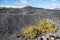 Vineyards in the Geria in Lanzarote