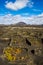 Vineyards in the Geria in Lanzarote