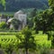 Vineyards in Gevrey Chambertin