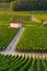 Vineyards in Gevrey chambertin burgundy France