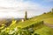 Vineyards with grapevine for wine production near a winery along styrian wine road, Austria Europe