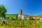 Vineyards green field with grapevine wooden poles and stone tower building in Rudesheim am Rhein