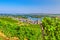 Vineyards green fields landscape with rows of grape trellis and grapevine wooden pole