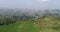 Vineyards on a hillside in Italy, House on a hill among vineyards, rows of vineyards on a hillside, Aerial, Cottage