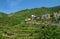 Vineyards and houses in Corniglia, Cinque Terre