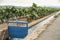 Vineyards and irrigation canal