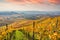 Vineyards between Kappelberg and Rotenberg in Stuttgart - Beautiful landscape scenery in autumn - Aerial view over Neckar Valley,