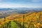 Vineyards between Kappelberg and Rotenberg in Stuttgart - Beautiful landscape scenery in autumn - Aerial view over Neckar Valley,