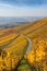 Vineyards between Kappelberg and Rotenberg in Stuttgart - Beautiful landscape scenery in autumn - Aerial view over Neckar Valley,