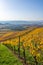 Vineyards between Kappelberg and Rotenberg in Stuttgart - Beautiful landscape scenery in autumn - Aerial view over Neckar Valley,