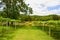 Vineyards in Khao Yai, Thailand.