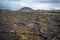 Vineyards in La Geria, Lanzarote, Canary Islands, Spain