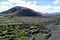 Vineyards in La Geria, Lanzarote, Spain.