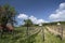 Vineyards at Lake Balaton