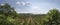 Vineyards at Lake Balaton