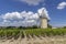 Vineyards with Lamarque windmill, Haut-Medoc, Bordeaux, Aquitaine, France
