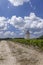 Vineyards with Lamarque windmill, Haut-Medoc, Bordeaux, Aquitaine, France