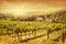 Vineyards landscape