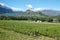 Vineyards landscape near Franschhoek