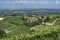 Vineyards of Langhe Cuneo, Piedmont, Italy at summer