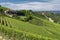 Vineyards in the Langhe near Barbaresco