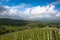 Vineyards of Langhe, Piedmont, UNESCO world heritage