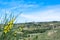 Vineyards in Langhe region, Italy