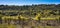 Vineyards in Languedoc