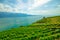 Vineyards of Lavaux