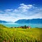 Vineyards in Lavaux area, Switzerland