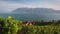 Vineyards of the Lavaux region over lake Leman