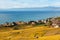 Vineyards in Lavaux - Terrasse de Lavaux, Switzerl