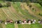 Vineyards in Lendavske Gorice in Slovenia, small houses