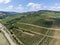 Vineyards of Maconnaise regional appellation, wine making in Burgundy near Macon, France