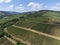 Vineyards of Maconnaise regional appellation, wine making in Burgundy near Macon, France