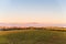 Vineyards in McLaren Vale at sunset