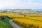 Vineyards at Mittelbergheim and Andlau, a little village in Alsace, a region in eastern France - Europe