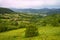 Vineyards of Monferrato near Gavi at springtime