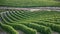 vineyards in Monferrato Piedmont Italy