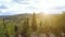 vineyards of Montepulciano in Tuscany