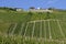 Vineyards on the Moselle wine village, Germany