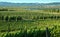 Vineyards in Napa, California