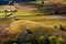 vineyards near Beaujeu, Beaujolais, Rhone-Alpes, France