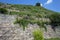 Vineyards near the Castle Wackerbarth, Dresden