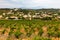 Vineyards near Chateauneuf-du-Pape, Provence, France