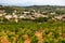 Vineyards near Chateauneuf-du-Pape, Provence, France