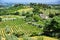 Vineyards near the city of San Gimignano, Tuscany, Italy