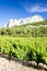 vineyards near Gigondas at Col Du Cayron, Provence, France